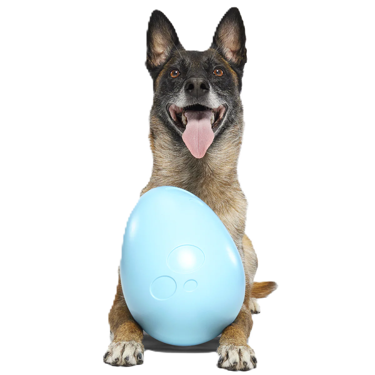 FREE PawNestify™ Mystery Dog Toy