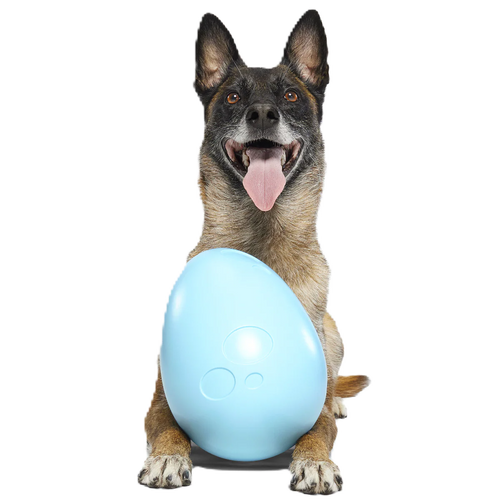 FREE PawNestify™ Mystery Dog Toy